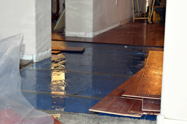 Professional Burst Pipe Cleanup technician working in Italy, TX
